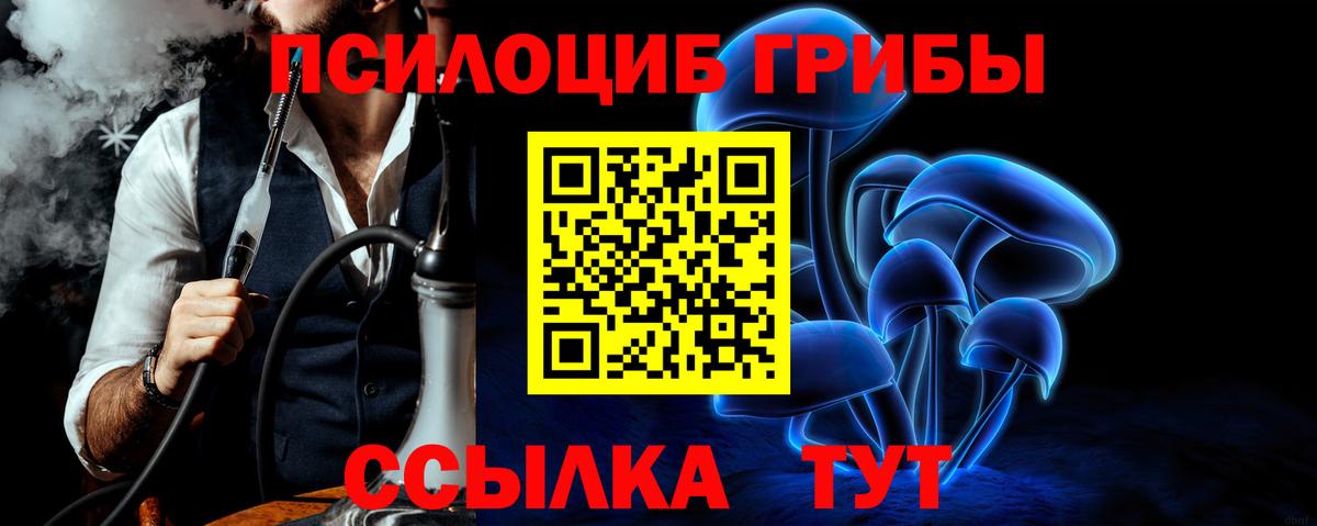 Астрахань  Галлюциногенные грибы Psilocybine cubensis  Вход с VPN 